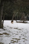 _DSC0047      
