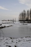 _DSC0094      