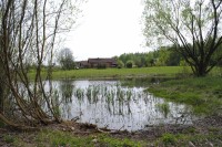 _DSC0193    