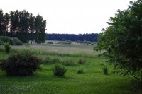 _DSC0237    