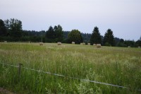 _DSC0312    