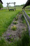 _DSC0405 