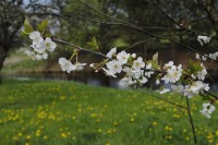 _DSC0422 